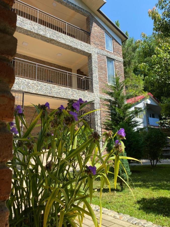 Guest House Shekvetili 外观 照片