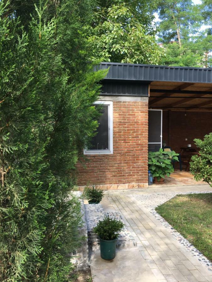 Guest House Shekvetili 外观 照片
